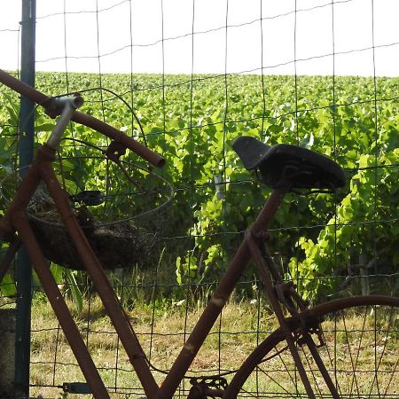 Au Coeur Des Vignes Bed and Breakfast Επερνέ Εξωτερικό φωτογραφία