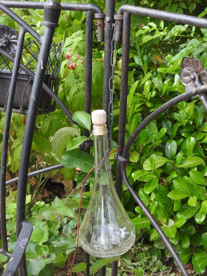 Au Coeur Des Vignes Bed and Breakfast Επερνέ Εξωτερικό φωτογραφία