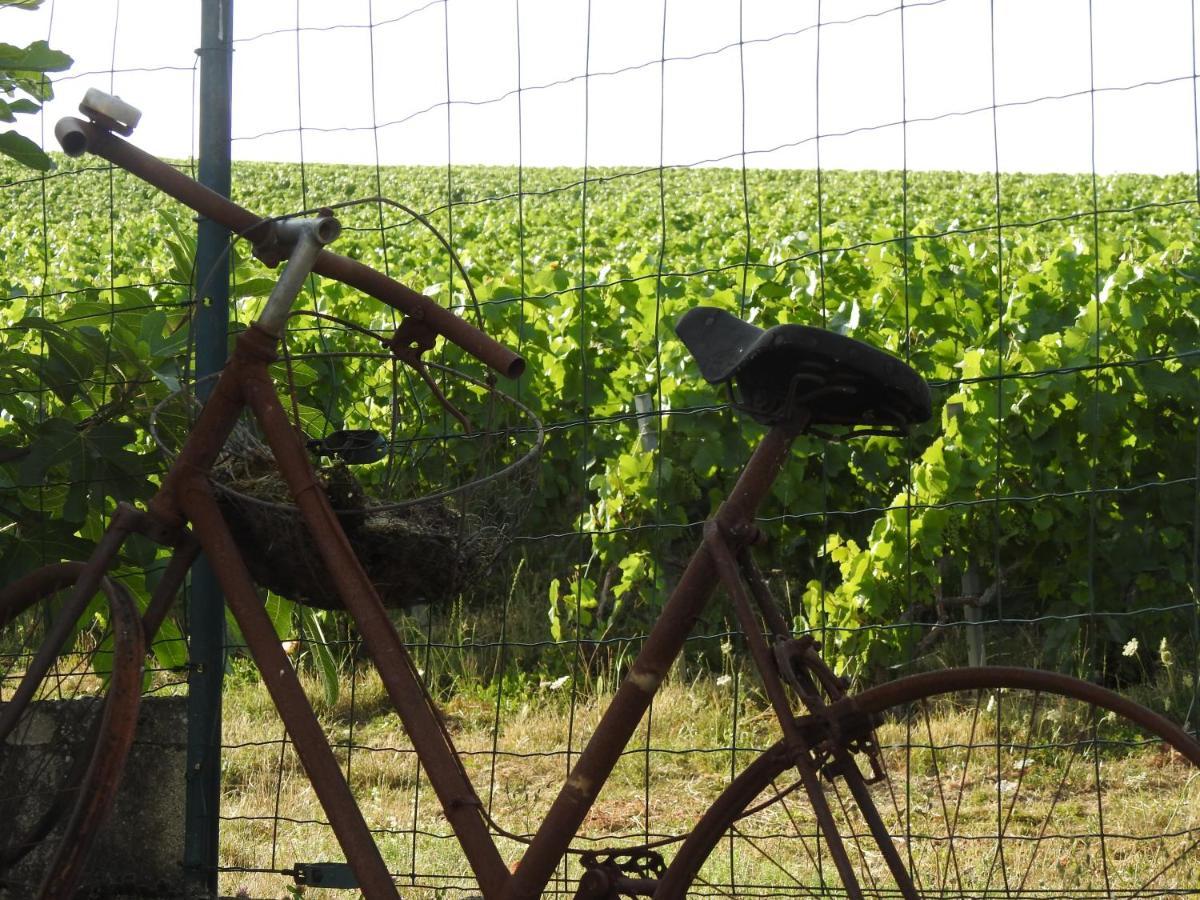 Au Coeur Des Vignes Bed and Breakfast Επερνέ Εξωτερικό φωτογραφία